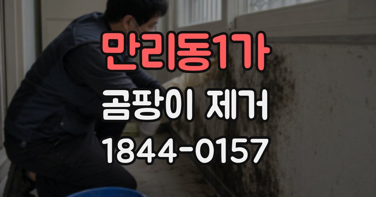 만리동1가 곰팡이 제거