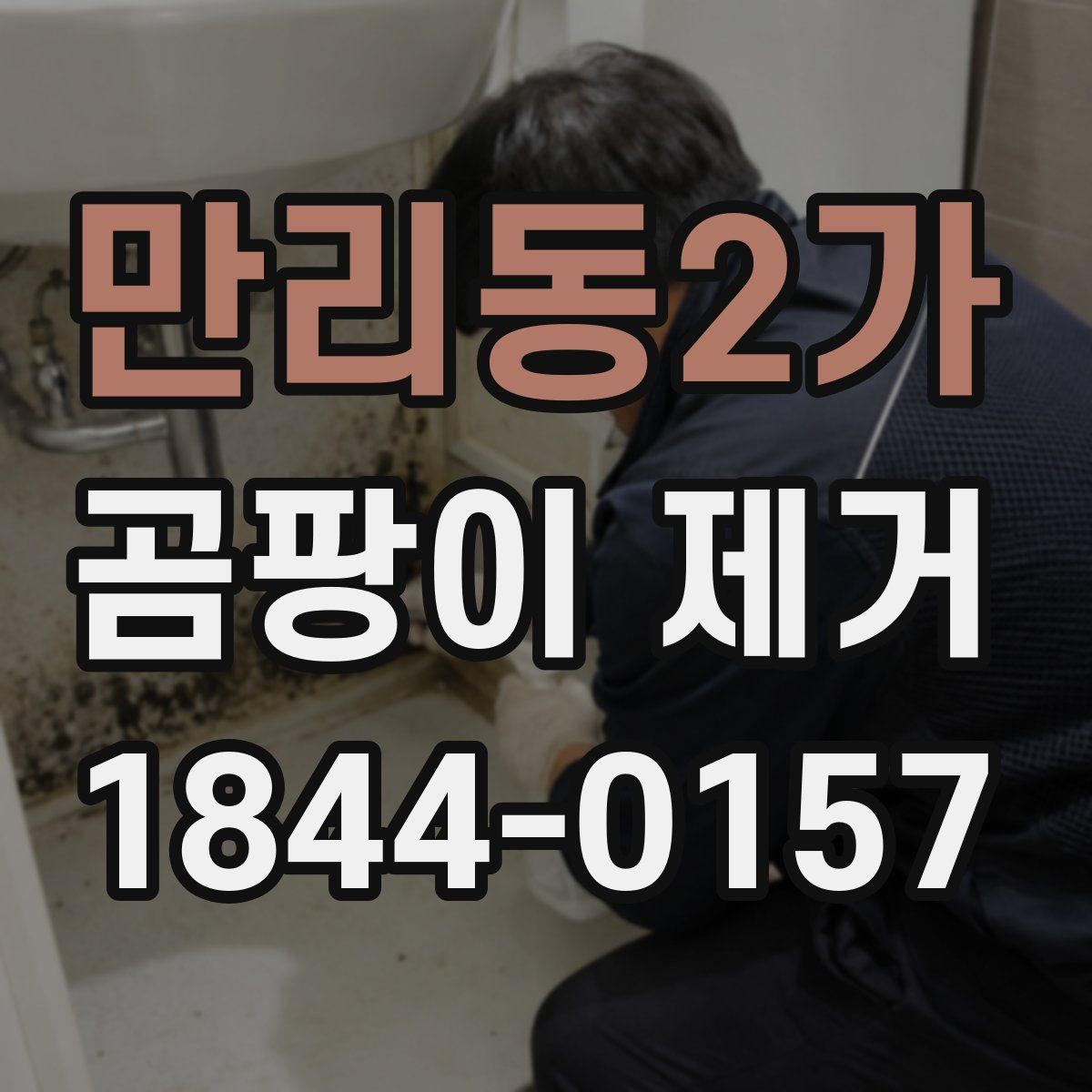 만리동2가 곰팡이 제거