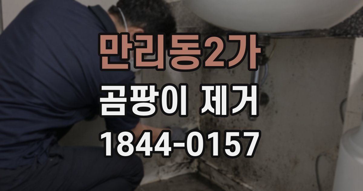 만리동2가 곰팡이 제거
