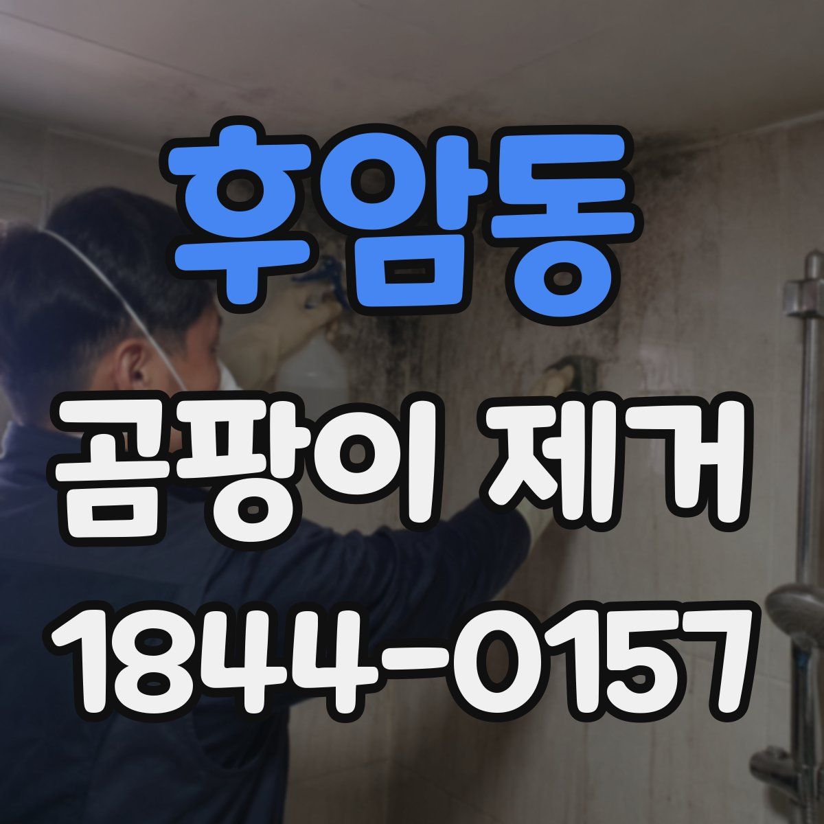 후암동 곰팡이 제거
