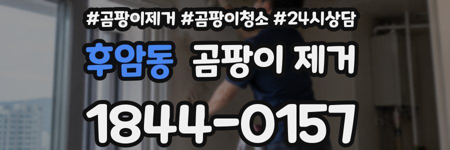 후암동 곰팡이 제거