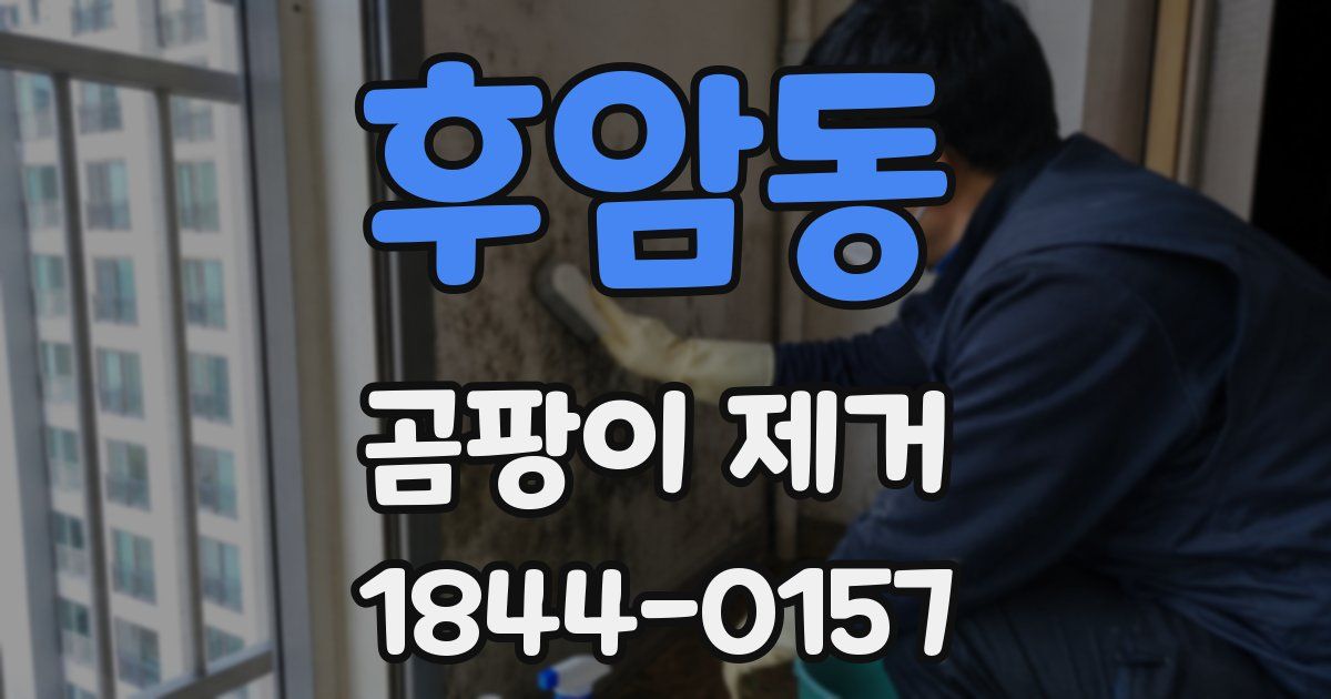 후암동 곰팡이 제거