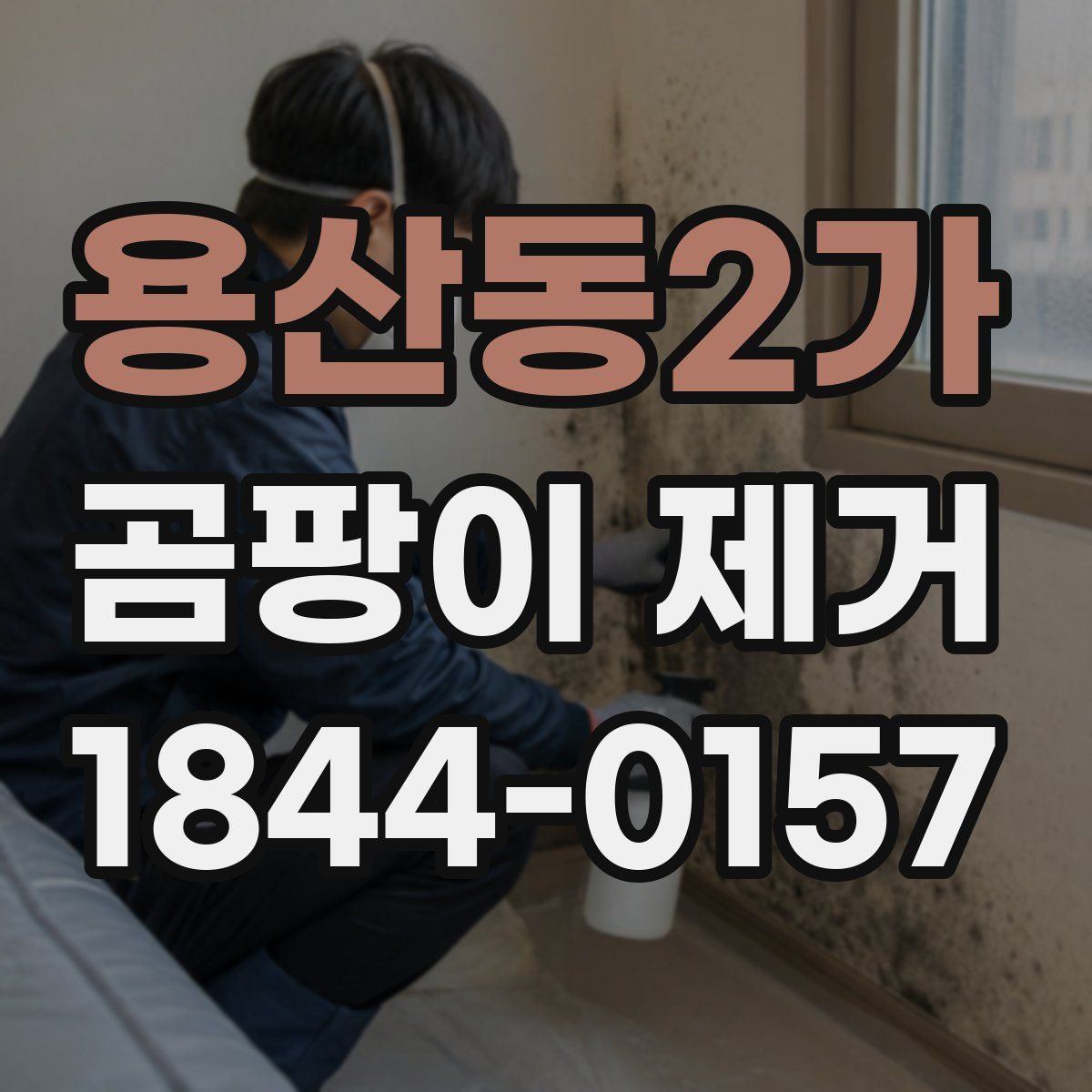 용산동2가 곰팡이 제거