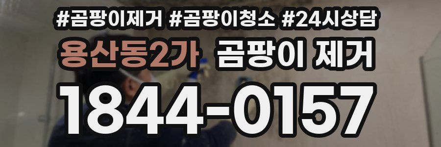 용산동2가 곰팡이 제거