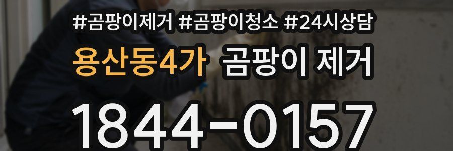 용산동4가 곰팡이 제거