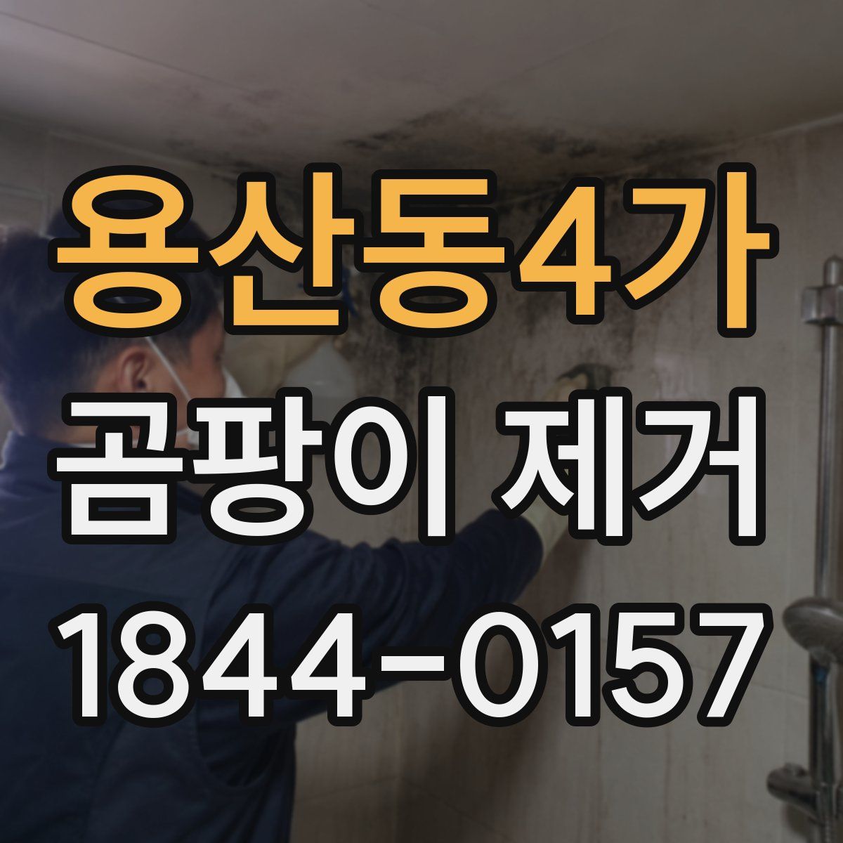용산동4가 곰팡이 제거