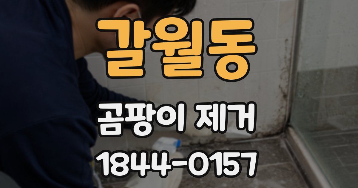 갈월동 곰팡이 제거