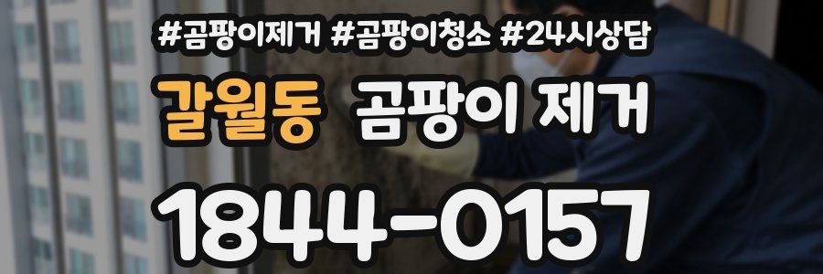 갈월동 곰팡이 제거