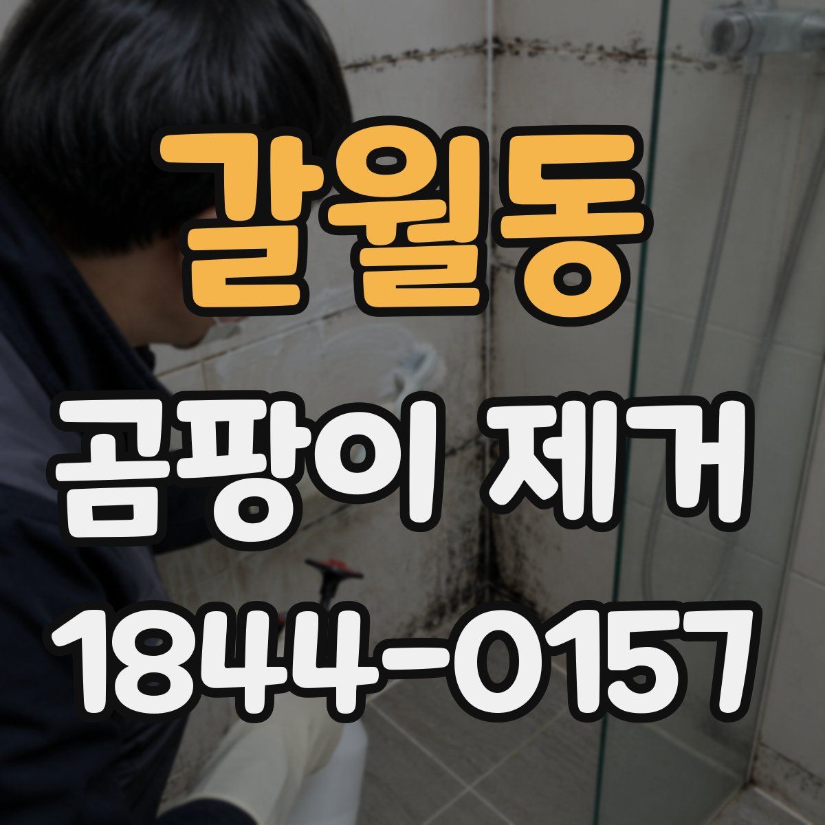 갈월동 곰팡이 제거