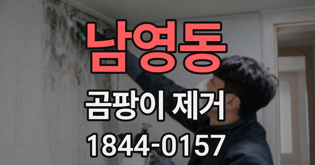 남영동 곰팡이 제거