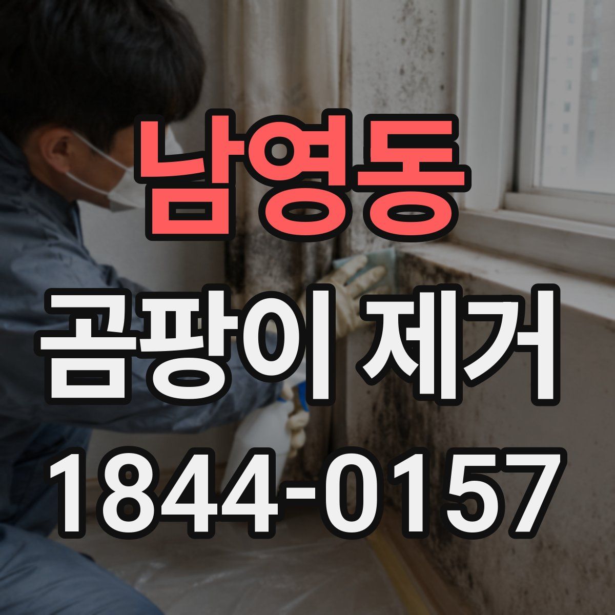 남영동 곰팡이 제거