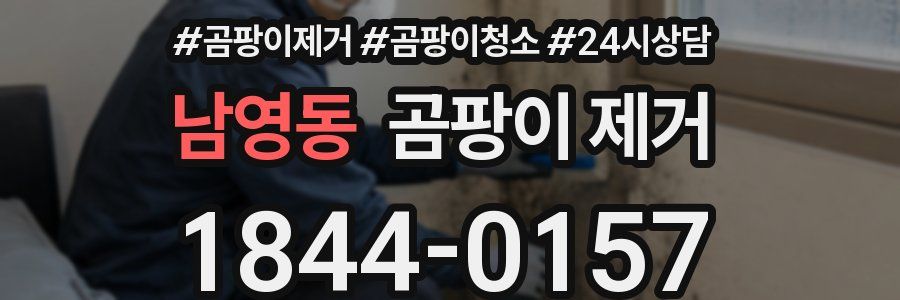 남영동 곰팡이 제거