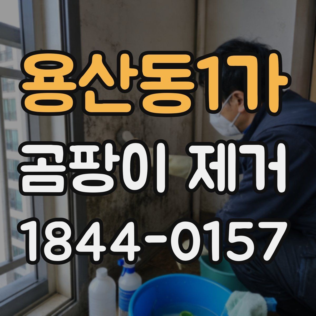 용산동1가 곰팡이 제거 벽지 교체 전 손상 범위 확인하기
