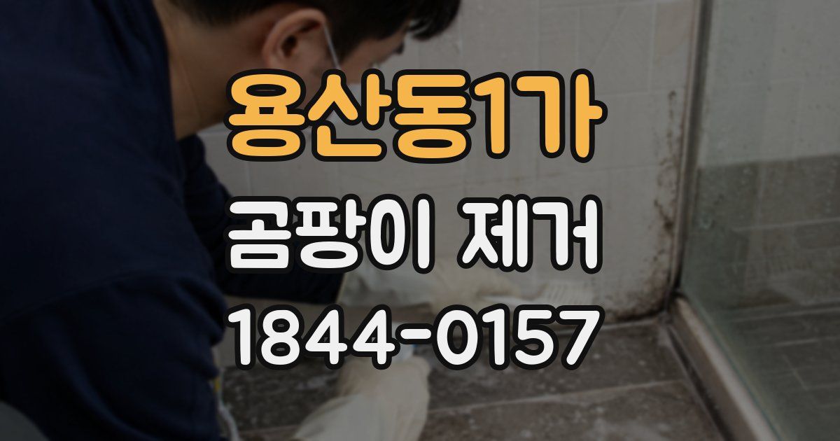 용산동1가 곰팡이 제거