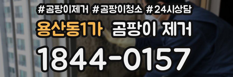 용산동1가 곰팡이 제거