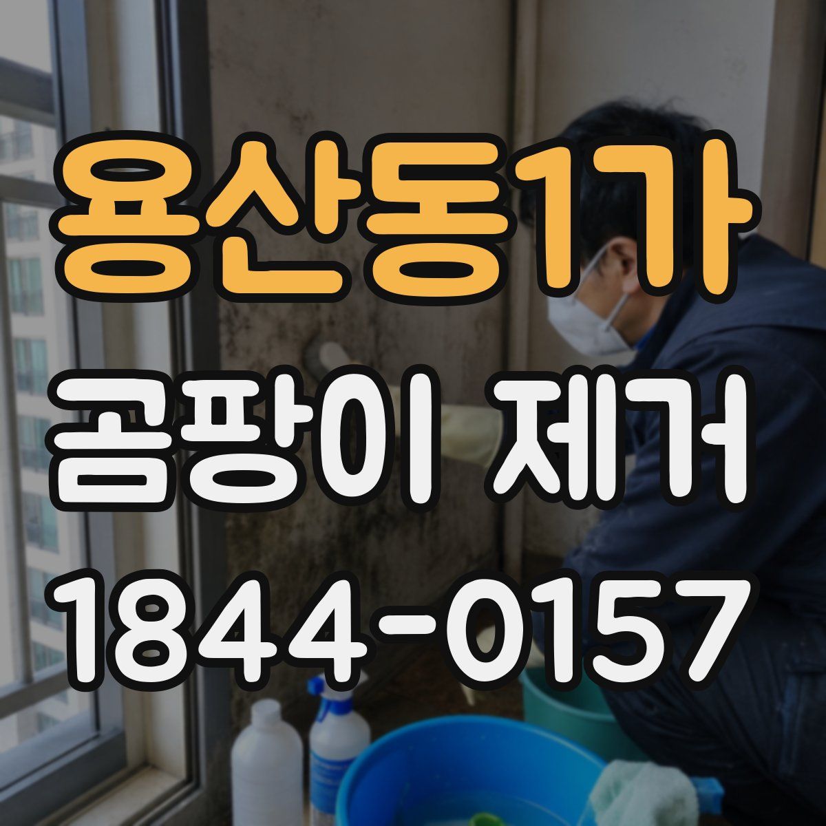 용산동1가 곰팡이 제거