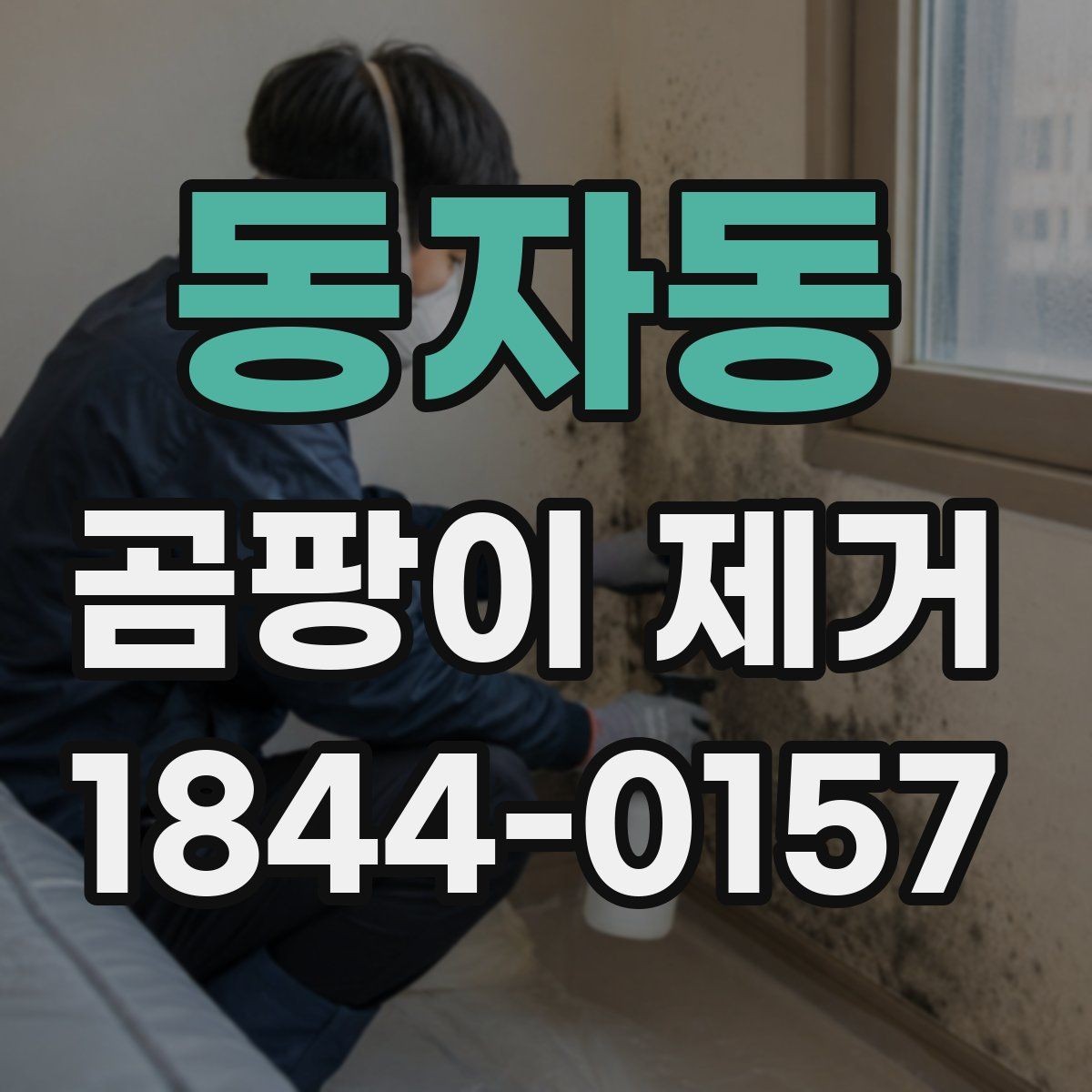 동자동 곰팡이 제거 습기 쌓이는 집안 습관부터 바꾸기
