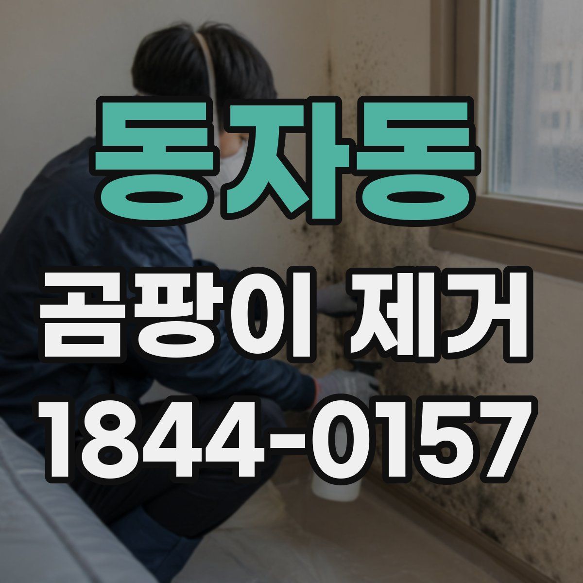 동자동 곰팡이 제거