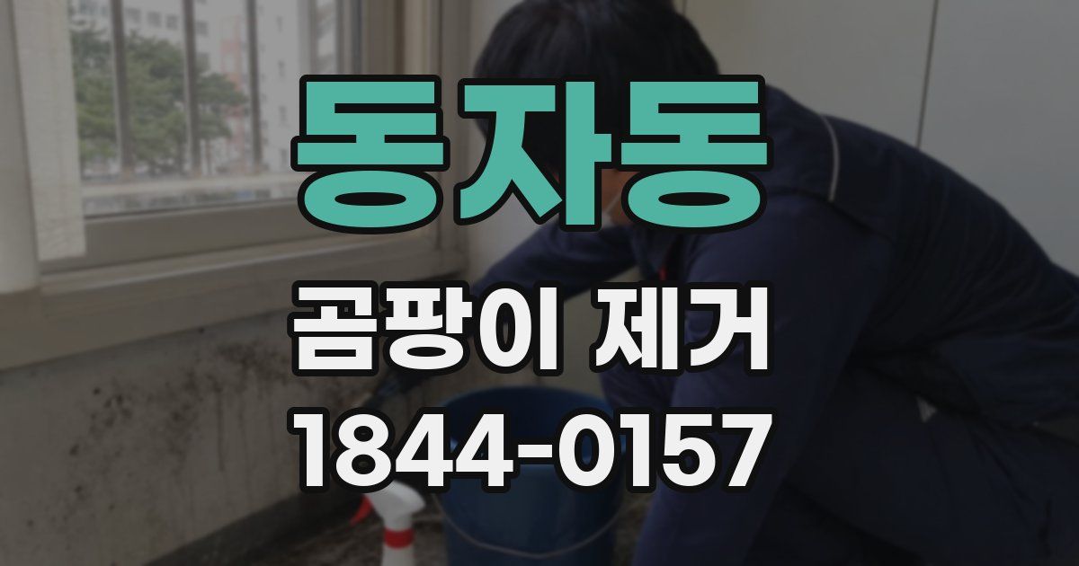 동자동 곰팡이 제거