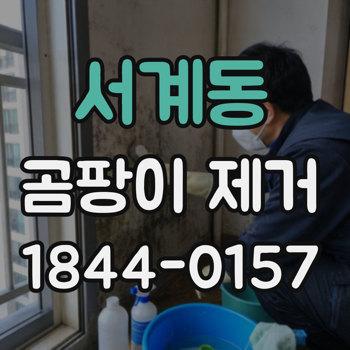 서계동 곰팡이 제거