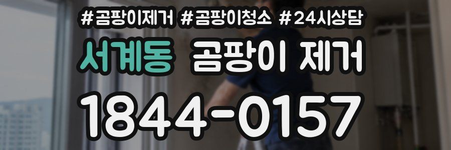 서계동 곰팡이 제거