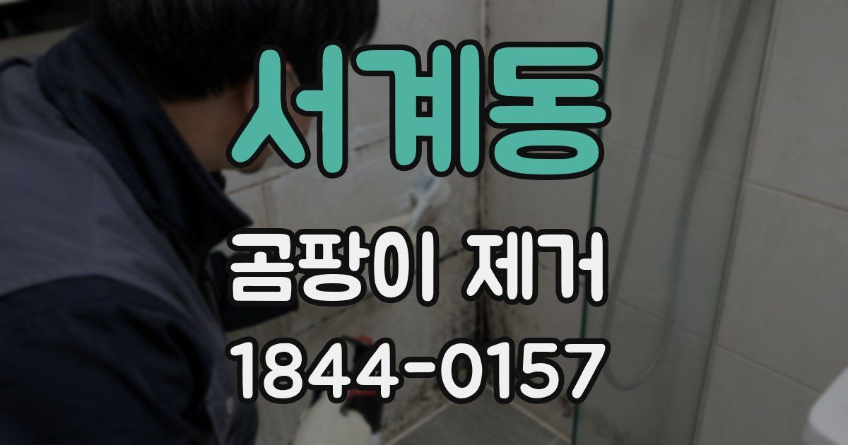 서계동 곰팡이 제거