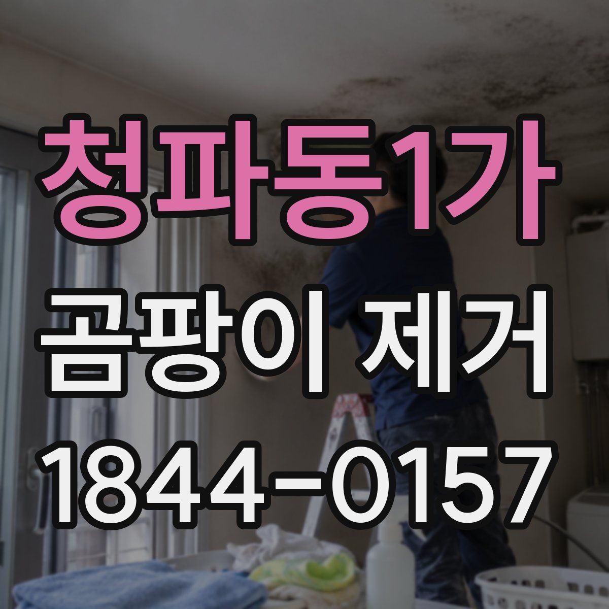 청파동1가 곰팡이 제거