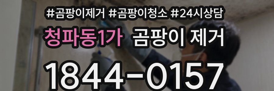 청파동1가 곰팡이 제거