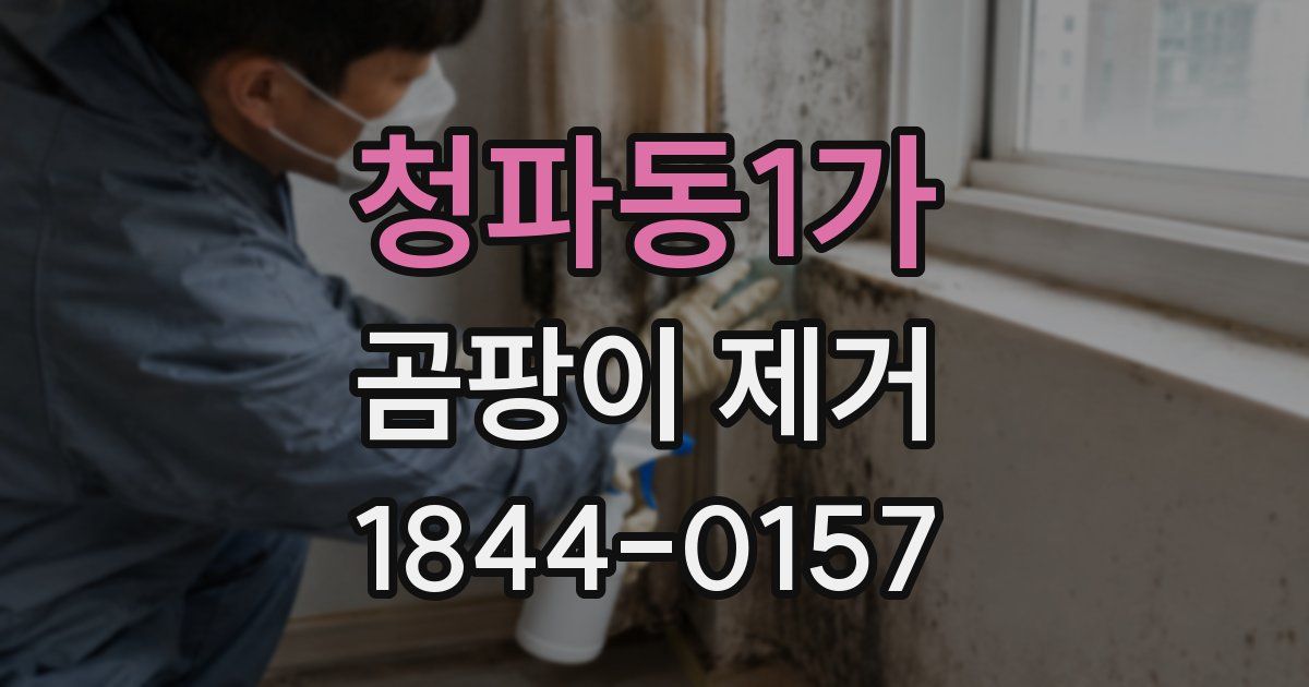 청파동1가 곰팡이 제거