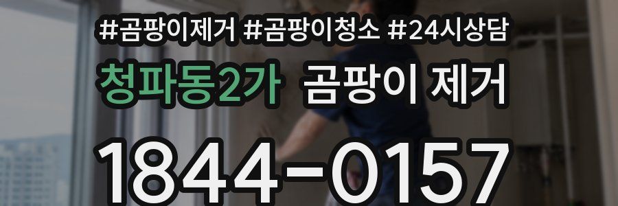 청파동2가 곰팡이 제거