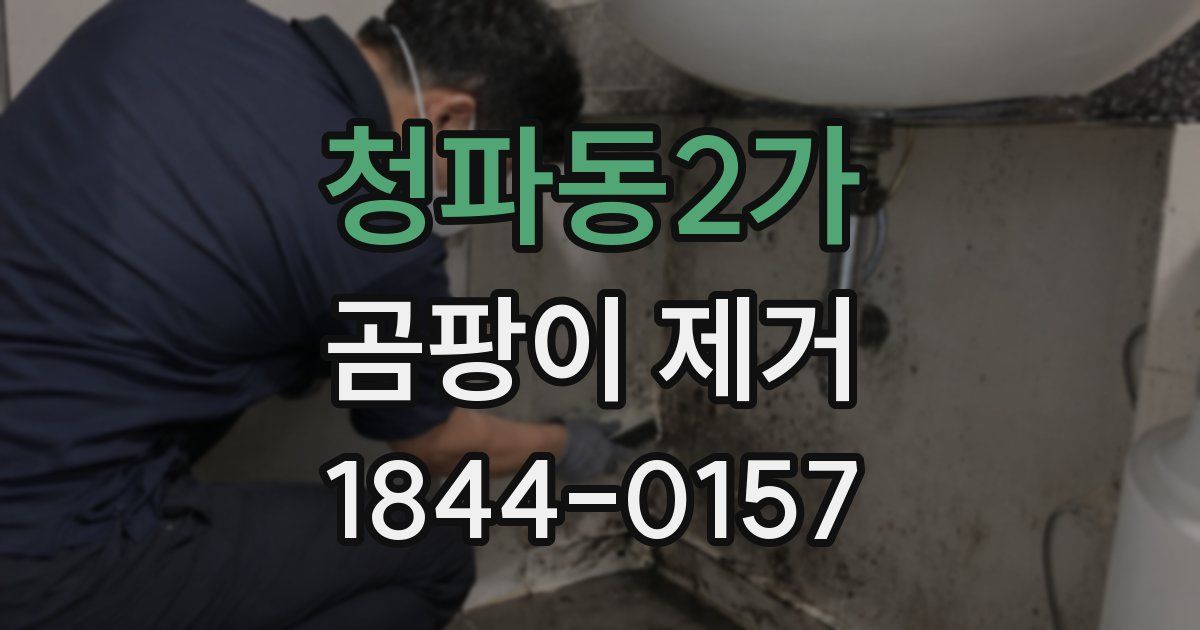 청파동2가 곰팡이 제거