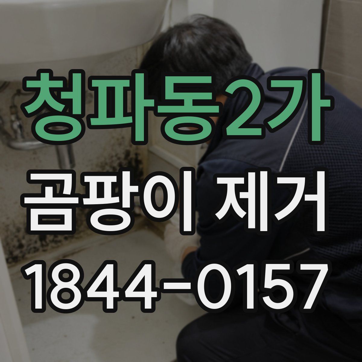 청파동2가 곰팡이 제거
