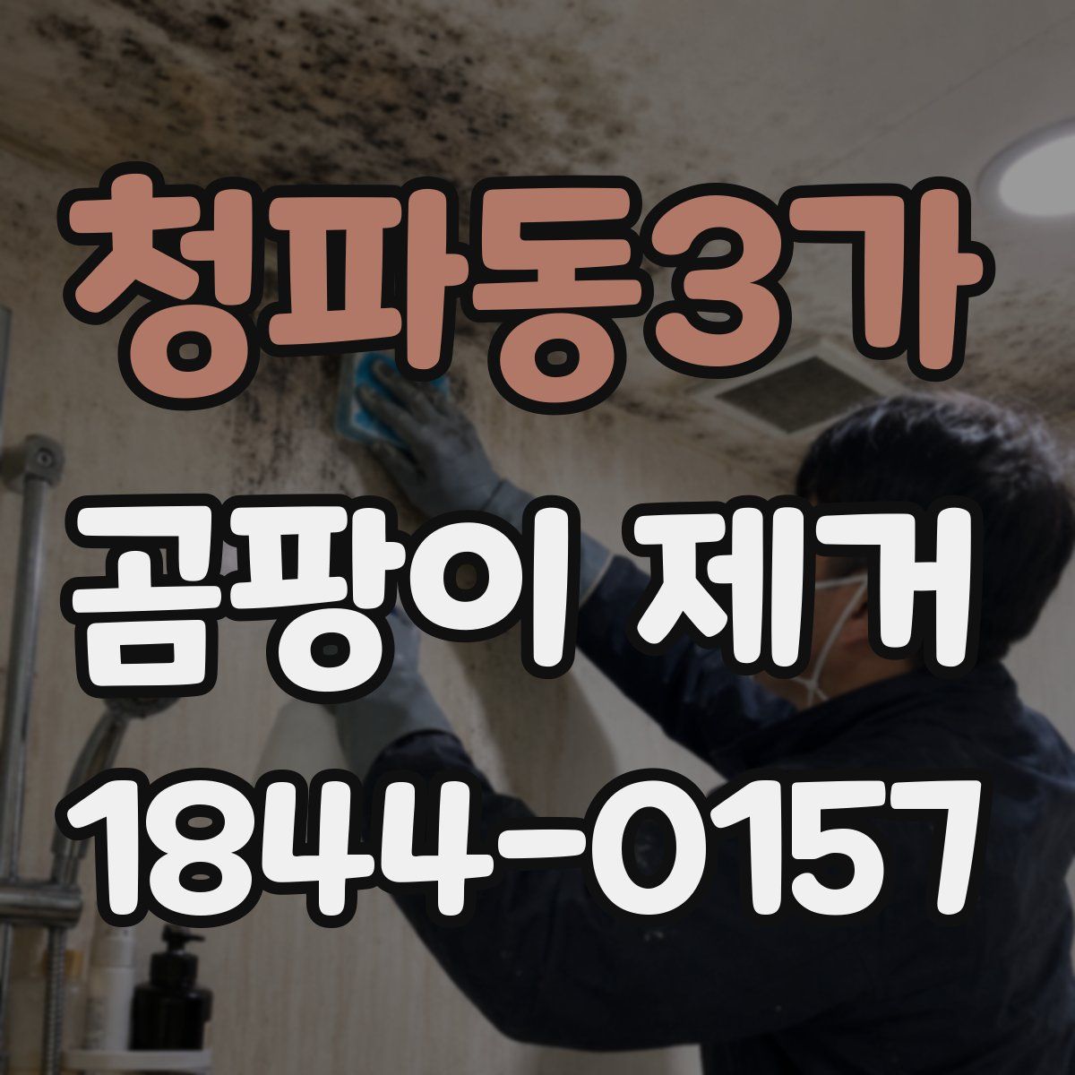 청파동3가 곰팡이 제거
