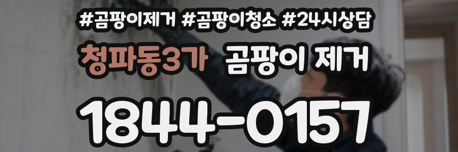 청파동3가 곰팡이 제거