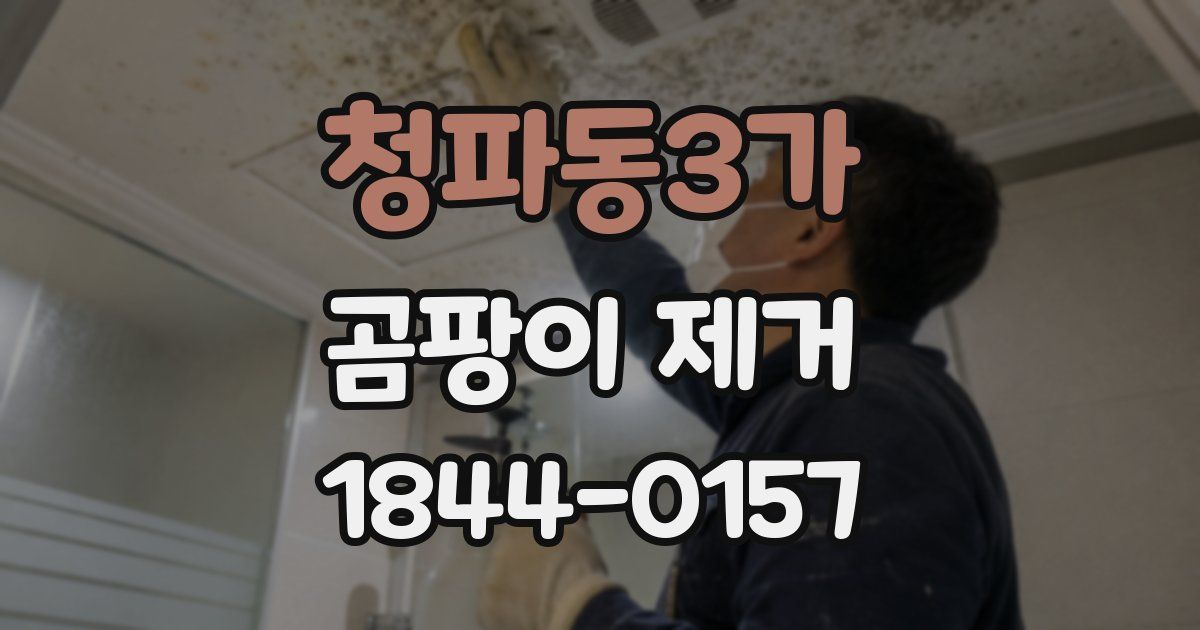 청파동3가 곰팡이 제거