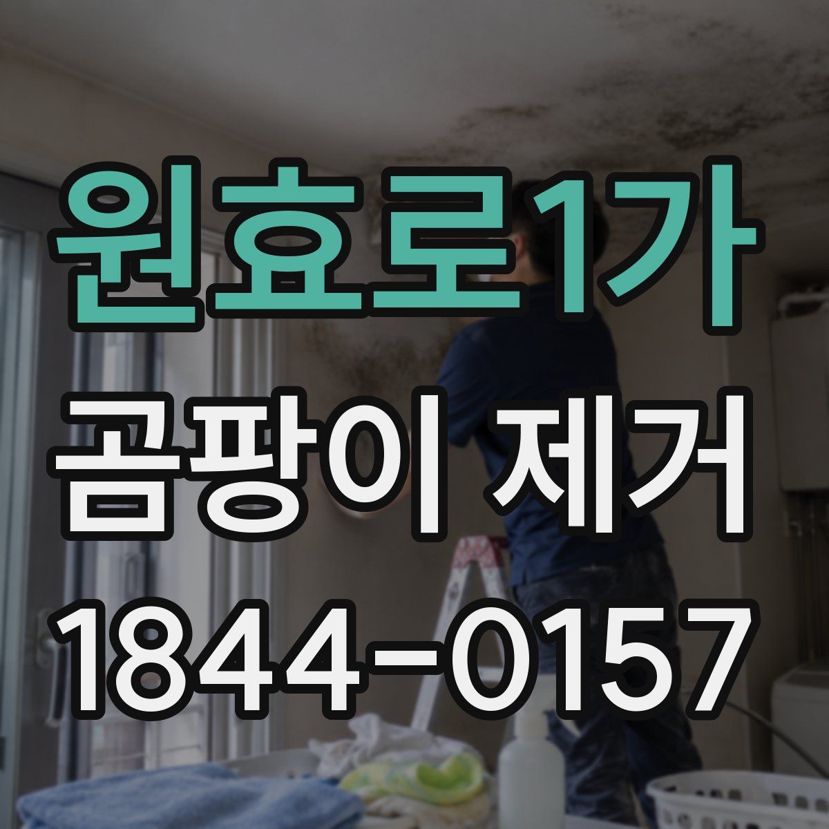 원효로1가 곰팡이 제거