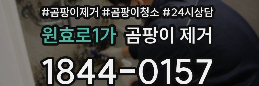 원효로1가 곰팡이 제거