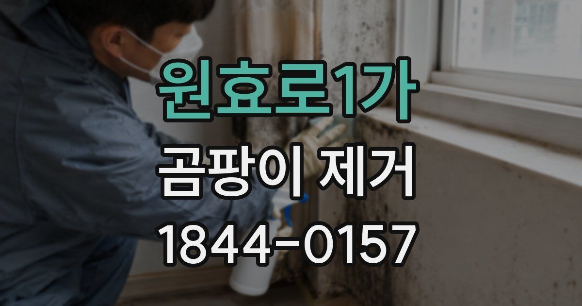 원효로1가 곰팡이 제거