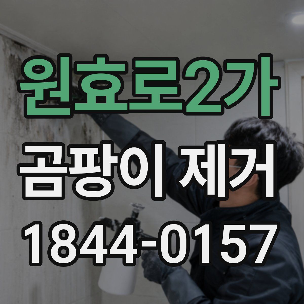 원효로2가 곰팡이 제거