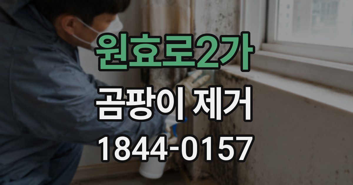 원효로2가 곰팡이 제거