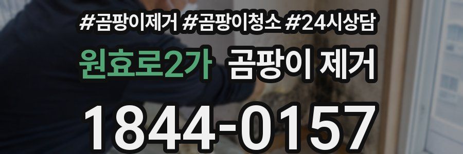 원효로2가 곰팡이 제거