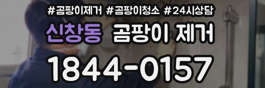 신창동 곰팡이 제거