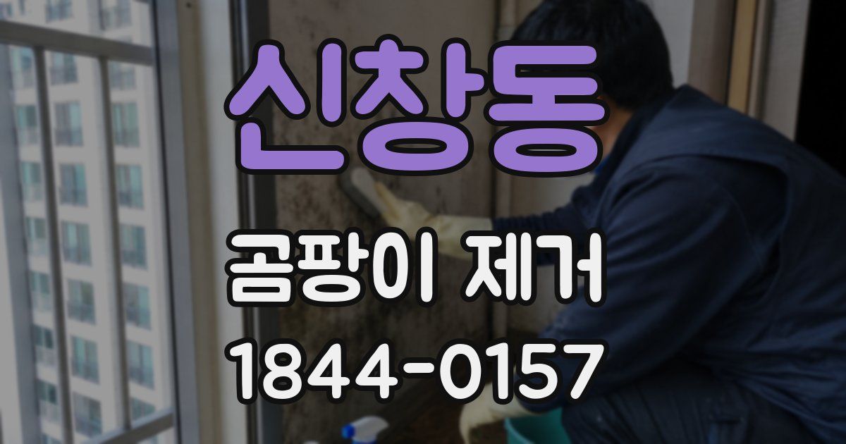 신창동 곰팡이 제거