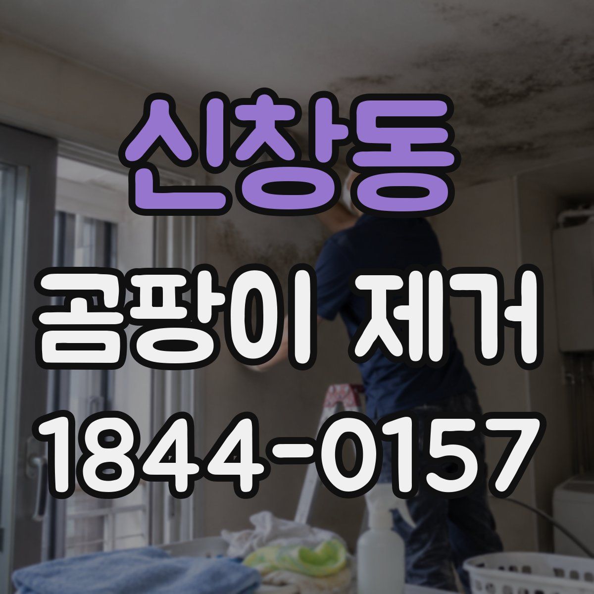 신창동 곰팡이 제거