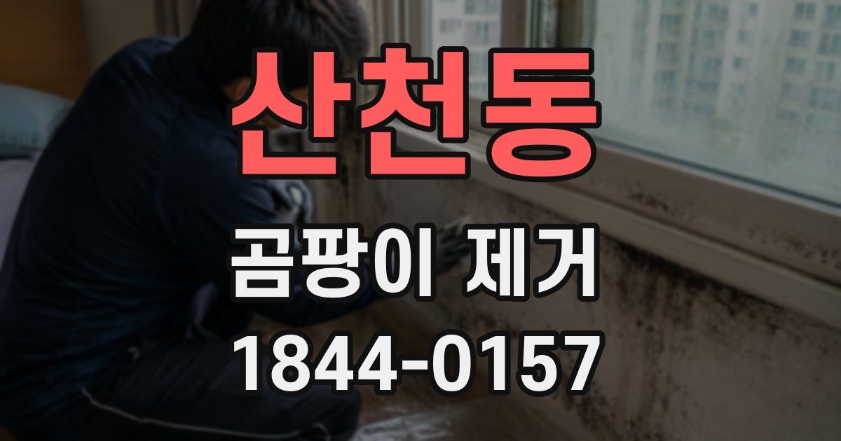 산천동 곰팡이 제거