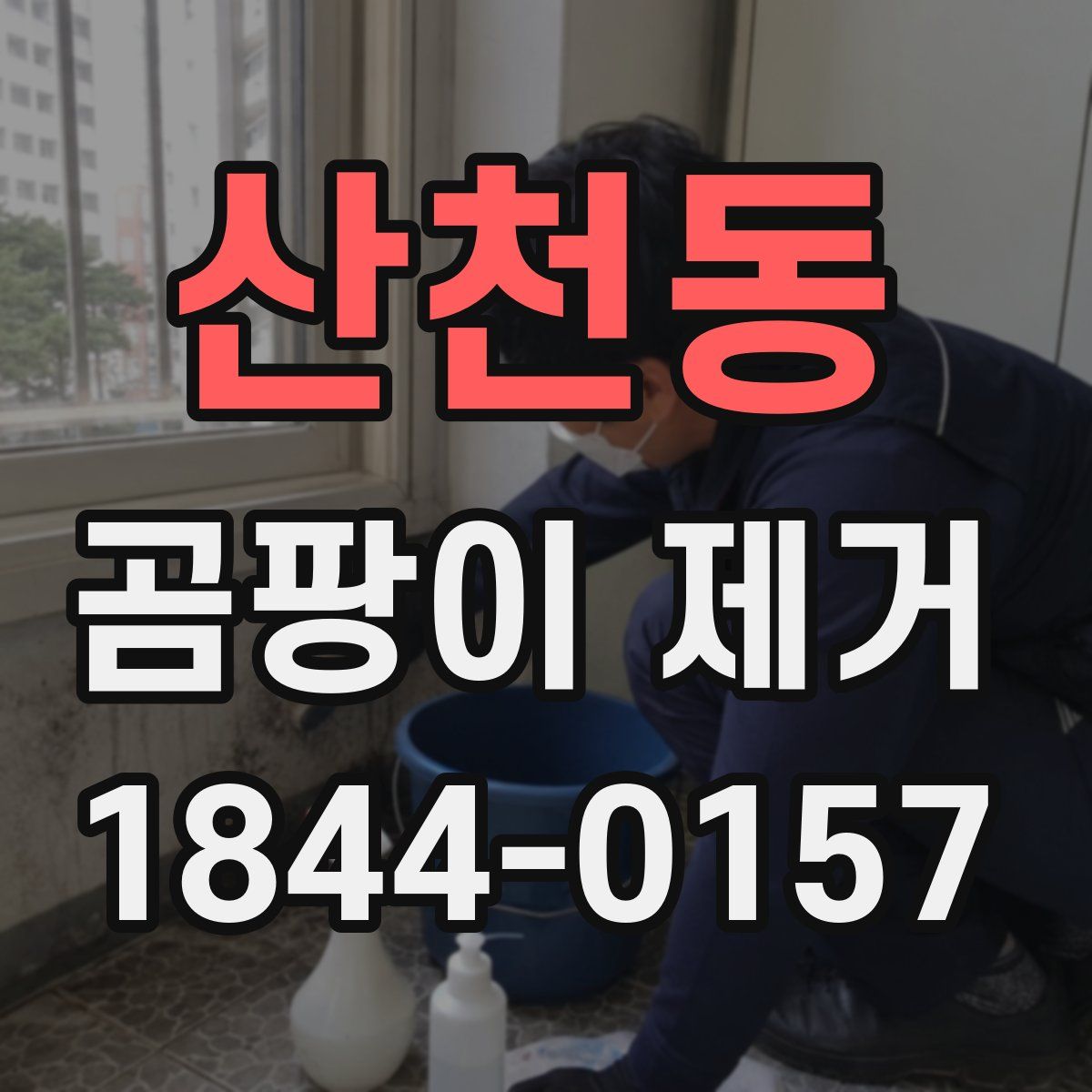 산천동 곰팡이 제거