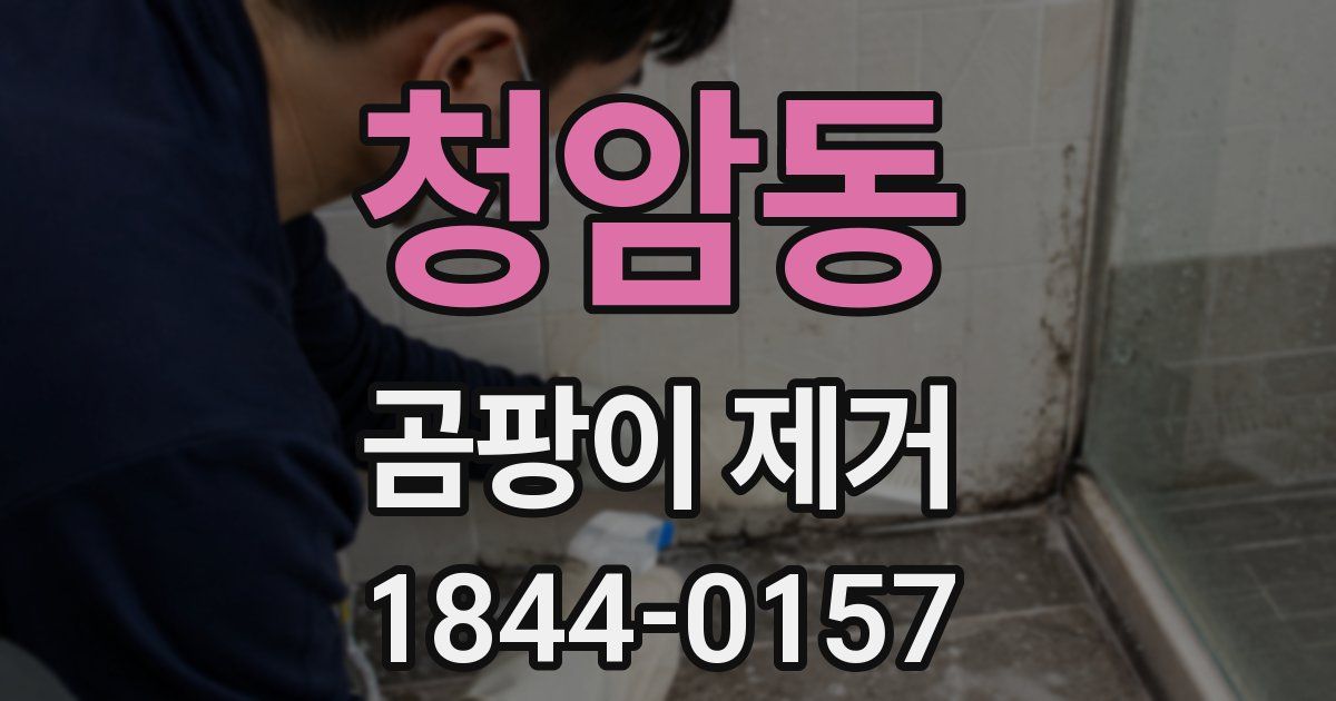 청암동 곰팡이 제거