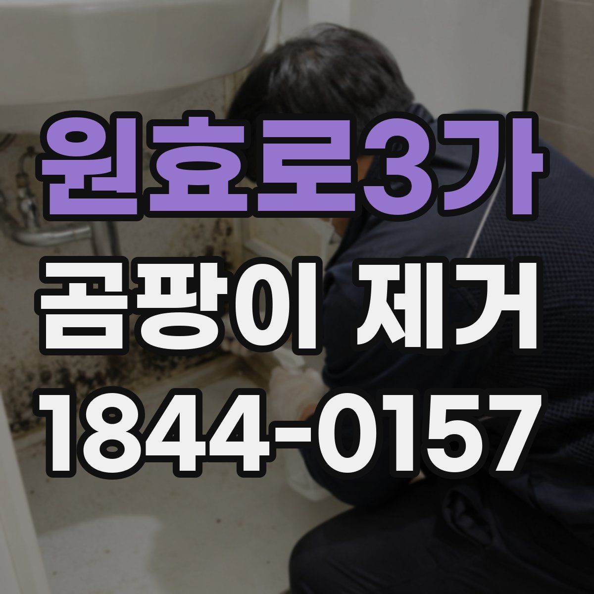 원효로3가 곰팡이 제거