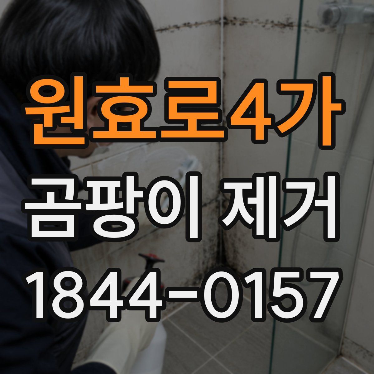 원효로4가 곰팡이 제거