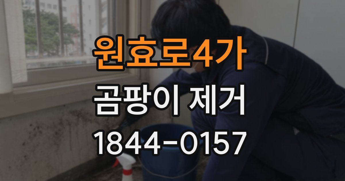 원효로4가 곰팡이 제거
